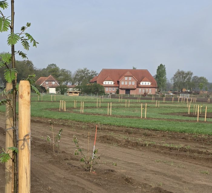 Der Hof Küselberg hinter frisch gepflanzten Agroforst-Reihen mit jungen Bäumen an Holzpfählen
